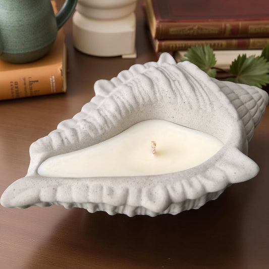 Conch Candle